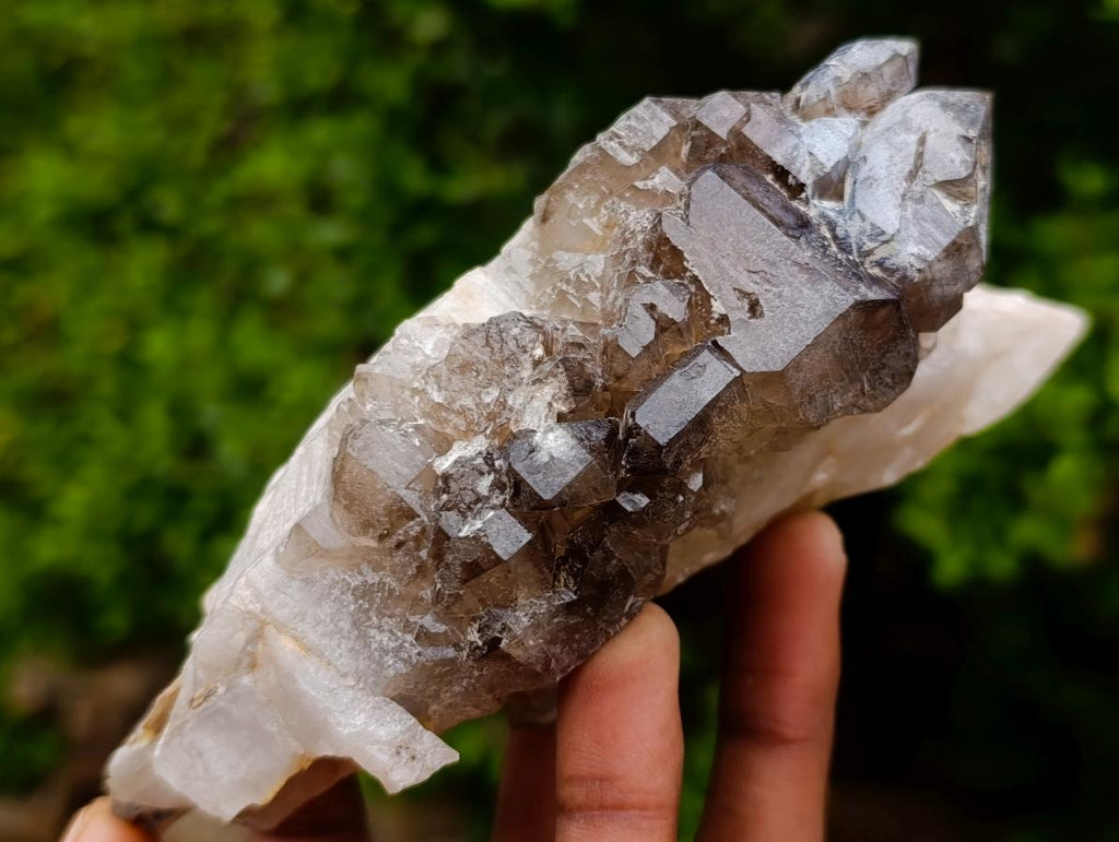 Natural Neuschwaben Farm Smokey Quartz Specimens x 3 From Neuschwaben, Namibia