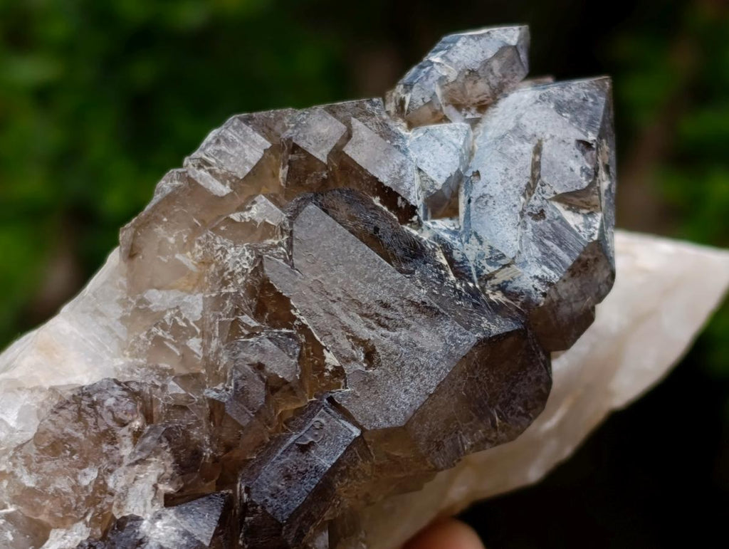 Natural Neuschwaben Farm Smokey Quartz Specimens x 3 From Neuschwaben, Namibia