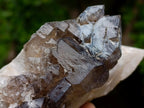 Natural Neuschwaben Farm Smokey Quartz Specimens x 3 From Neuschwaben, Namibia