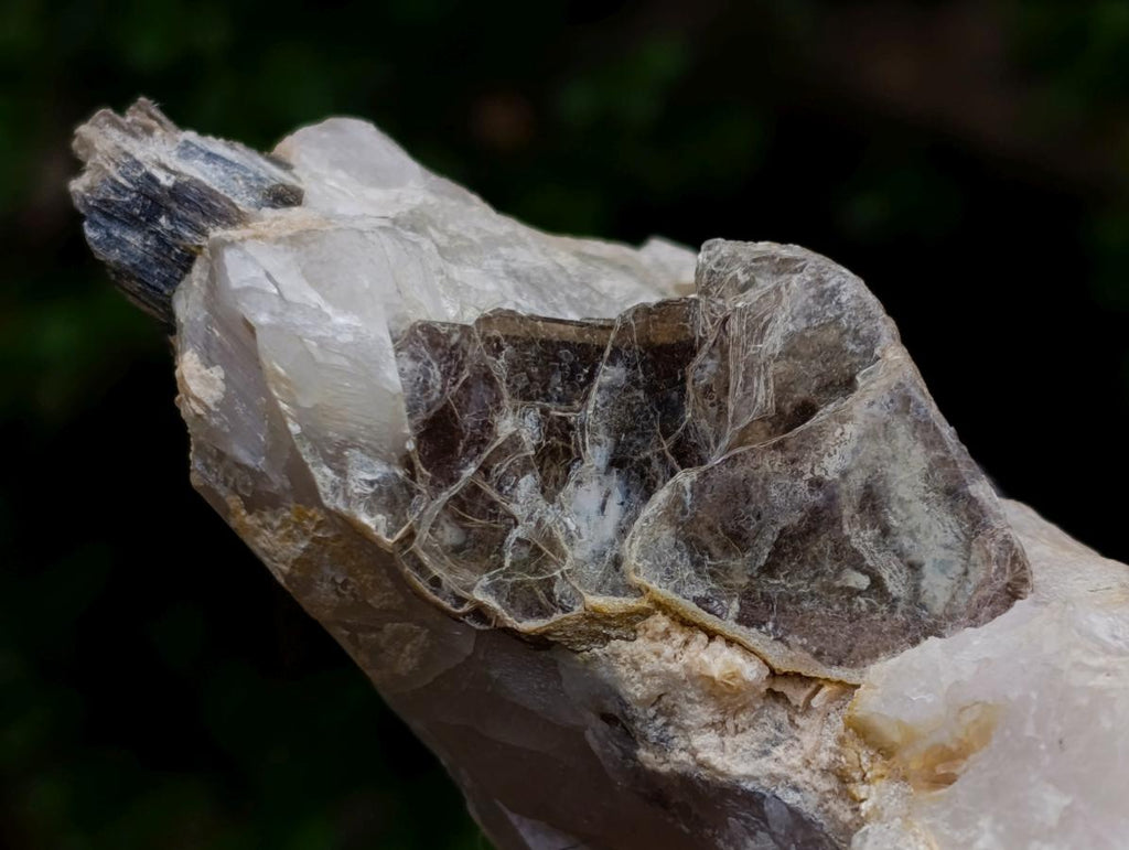 Natural Neuschwaben Farm Smokey Quartz Specimens x 3 From Neuschwaben, Namibia