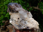 Natural Neuschwaben Farm Smokey Quartz Specimens x 3 From Neuschwaben, Namibia