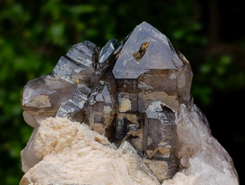 Natural Neuschwaben Farm Smokey Quartz Specimens x 3 From Neuschwaben, Namibia