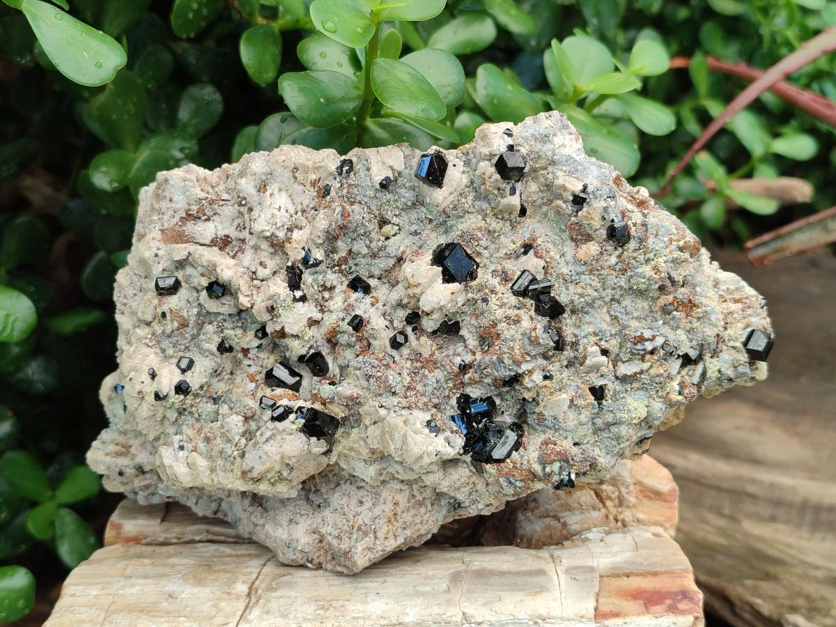 Natural Schorl Black Tourmaline Specimens with Associated Minerals x 3 From Erongo, Namibia