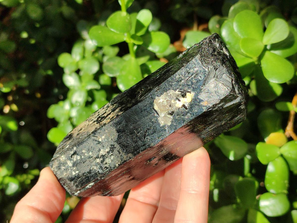 Natural Schorl Black Tourmaline Specimens with Associated Minerals x 3 From Erongo, Namibia
