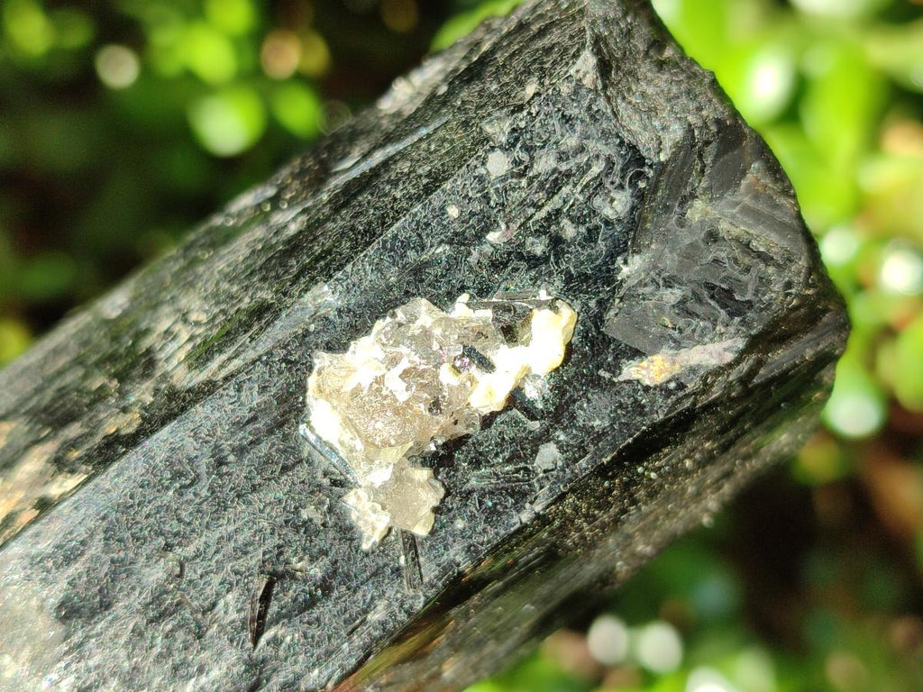 Natural Schorl Black Tourmaline Specimens with Associated Minerals x 3 From Erongo, Namibia