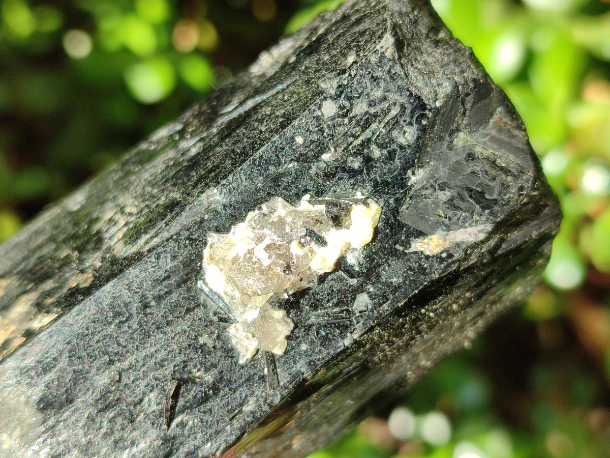 Natural Schorl Black Tourmaline Specimens with Associated Minerals x 3 From Erongo, Namibia