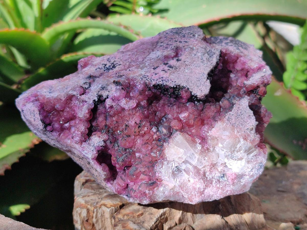 Natural Spherocobaltite Specimens x 3 From Mashamba West Mine, Congo