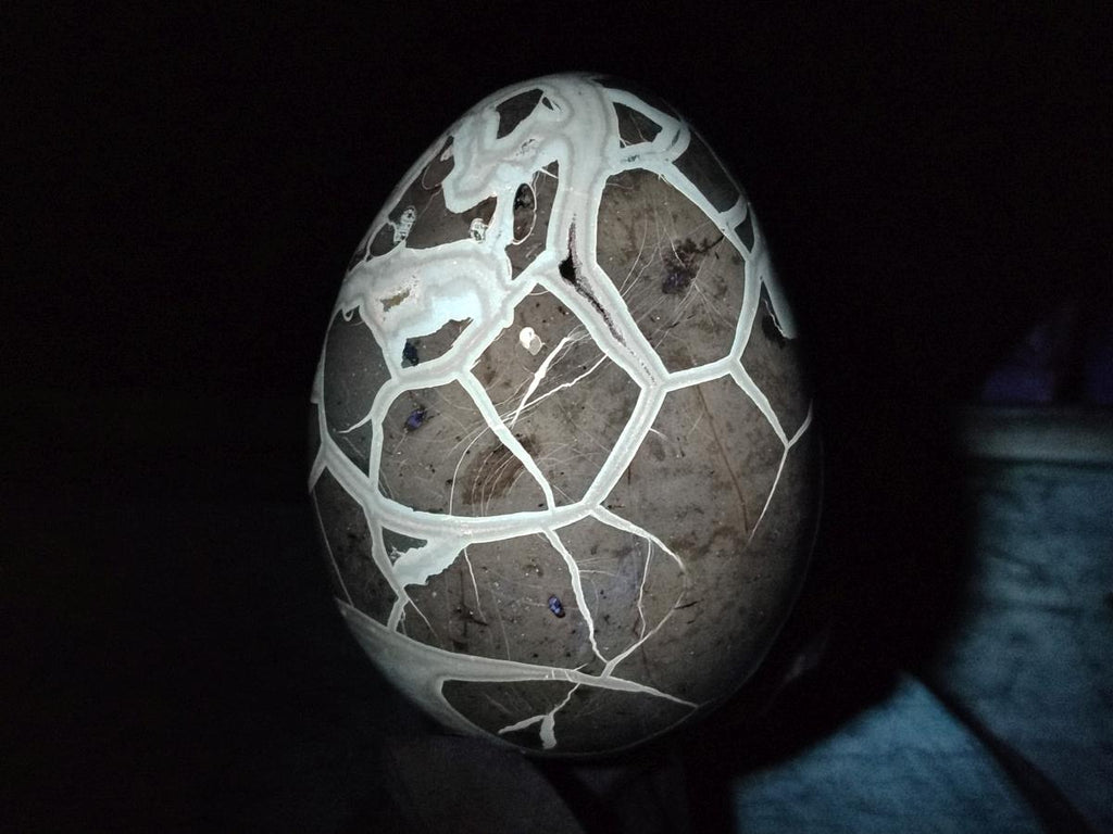 Polished and Natural Large Septerye Sauvage "Dragons Egg" Geode x 1 From Mahajanga, Madagascar