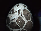 Polished and Natural Large Septerye Sauvage "Dragons Egg" Geode x 1 From Mahajanga, Madagascar