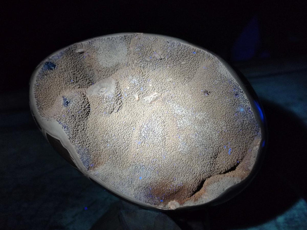 Polished and Natural Large Septerye Sauvage "Dragons Egg" Geode x 1 From Mahajanga, Madagascar