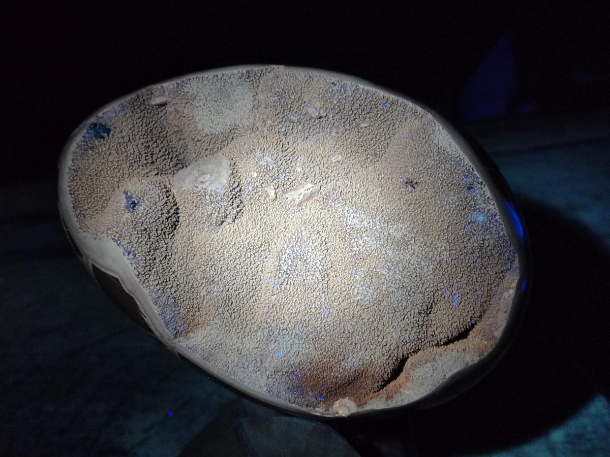 Polished and Natural Large Septerye Sauvage "Dragons Egg" Geode x 1 From Mahajanga, Madagascar
