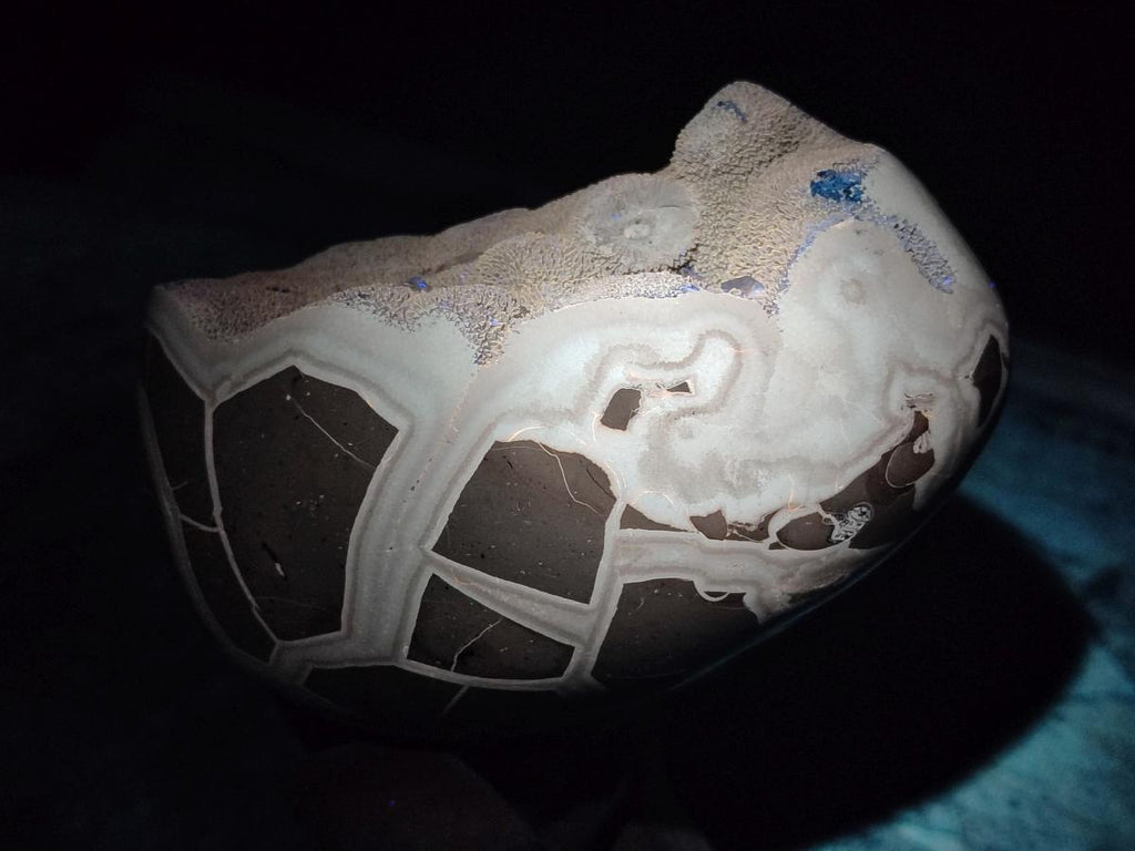 Polished and Natural Large Septerye Sauvage "Dragons Egg" Geode x 1 From Mahajanga, Madagascar
