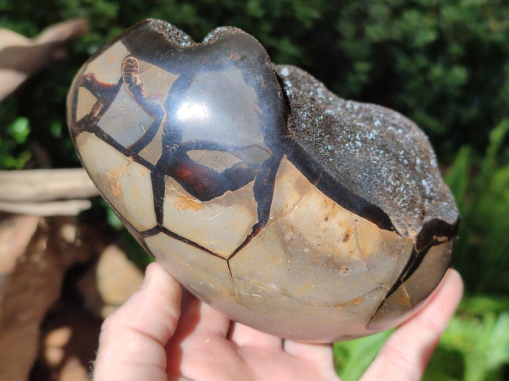 Polished and Natural Large Septerye Sauvage "Dragons Egg" Geode x 1 From Mahajanga, Madagascar
