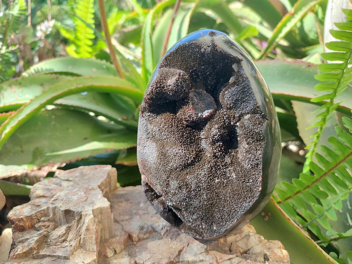 Polished and Natural Large Septerye Sauvage "Dragons Egg" Geode x 1 From Mahajanga, Madagascar