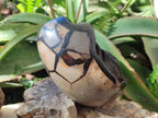 Polished and Natural Large Septerye Sauvage "Dragons Egg" Geode x 1 From Mahajanga, Madagascar