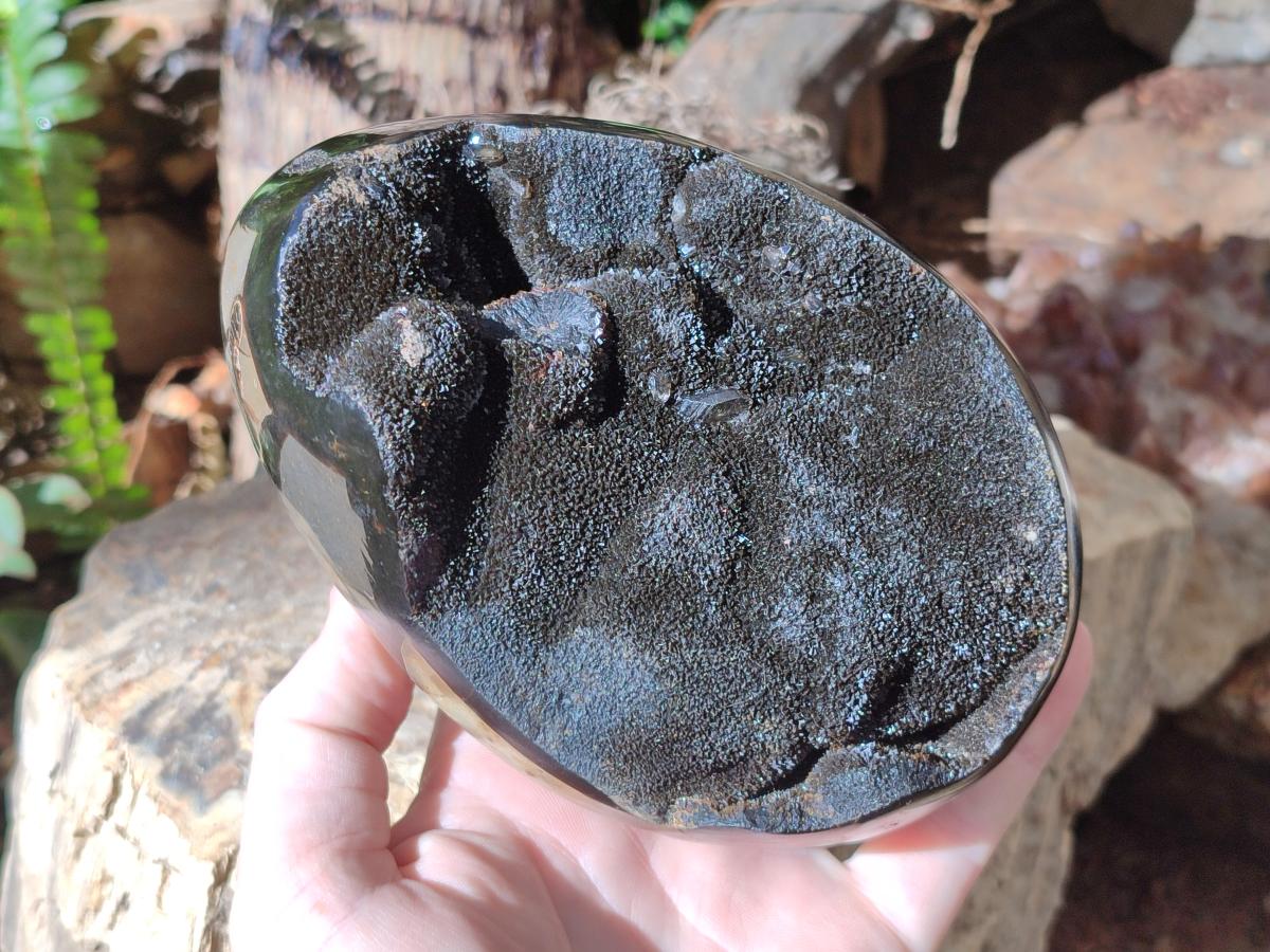 Polished and Natural Large Septerye Sauvage "Dragons Egg" Geode x 1 From Mahajanga, Madagascar