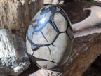 Polished and Natural Large Septerye Sauvage "Dragons Egg" Geode x 1 From Mahajanga, Madagascar