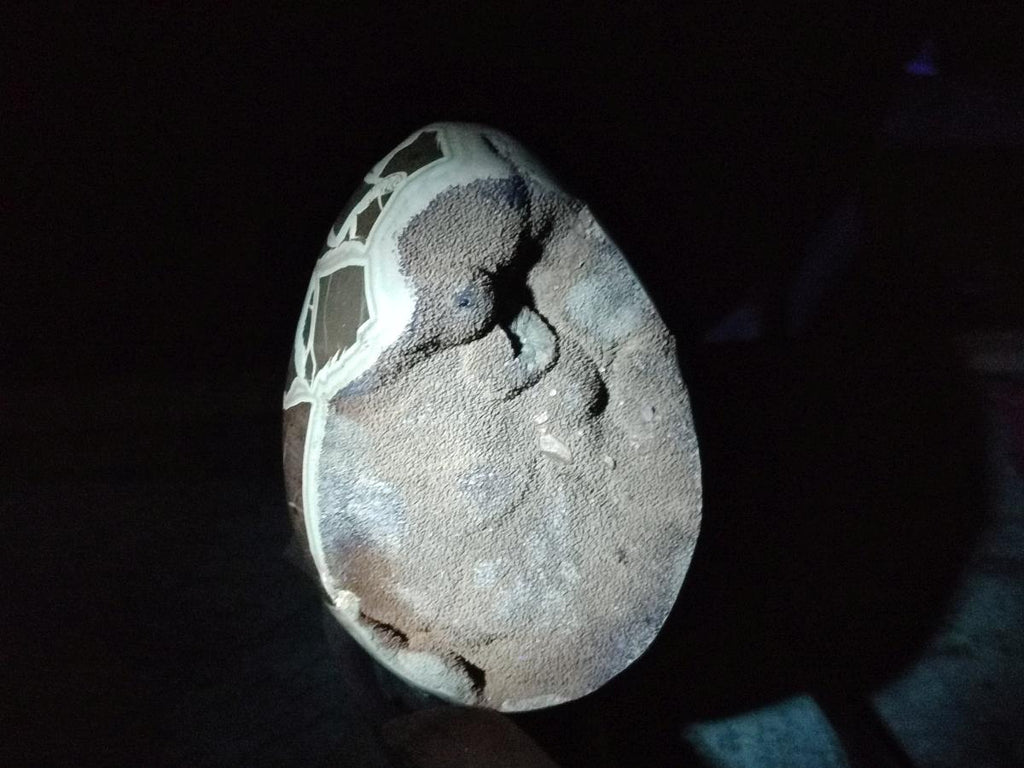 Polished and Natural Large Septerye Sauvage "Dragons Egg" Geode x 1 From Mahajanga, Madagascar