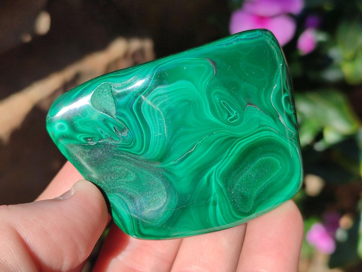 Polished and Natural Flower Banded Malachite Free Forms x 12 From Congo