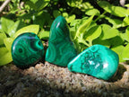 Polished and Natural Flower Banded Malachite Free Forms x 12 From Congo
