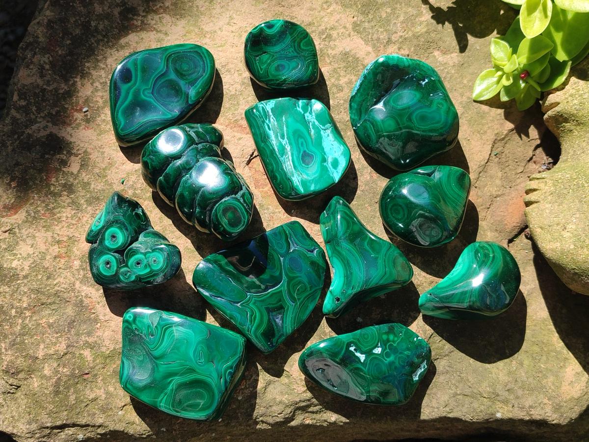 Polished and Natural Flower Banded Malachite Free Forms x 12 From Congo