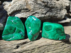 Polished and Natural Flower Banded Malachite Free Forms x 12 From Congo