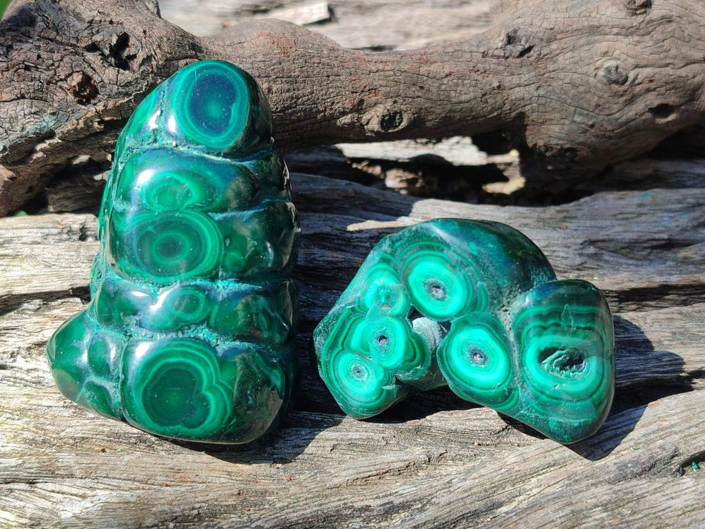 Polished and Natural Flower Banded Malachite Free Forms x 12 From Congo