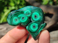 Polished and Natural Flower Banded Malachite Free Forms x 12 From Congo