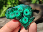 Polished and Natural Flower Banded Malachite Free Forms x 12 From Congo