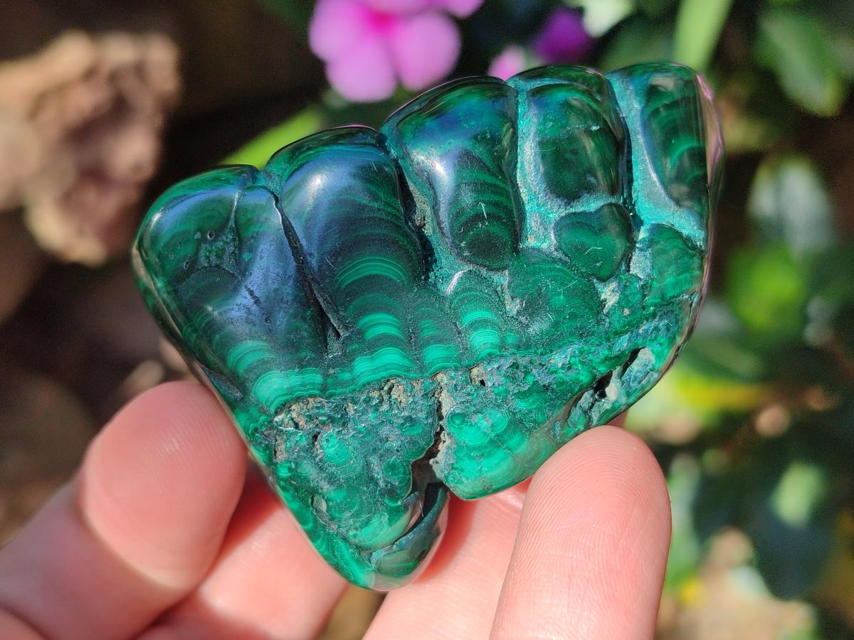 Polished and Natural Flower Banded Malachite Free Forms x 12 From Congo