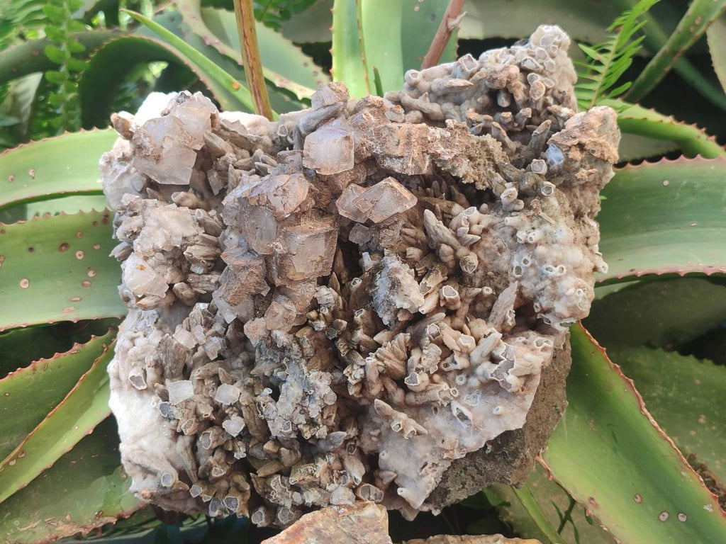 Natural XL Rhomboherdral and Spearhead Calcite Cluster Specimen x 1 From Albert's Mountain, Lesotho