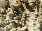 Natural XL Rhomboherdral and Spearhead Calcite Cluster Specimen x 1 From Albert's Mountain, Lesotho