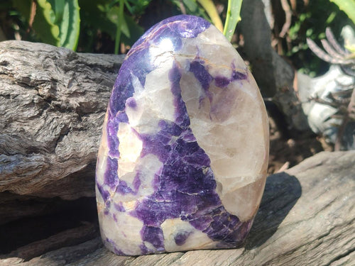 Polished Lepidolite Standing Display Pieces x 3 From Zimbabwe