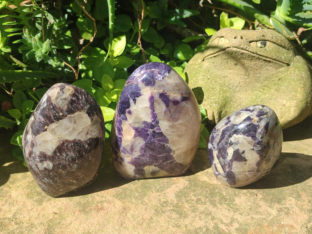 Polished Lepidolite Standing Display Pieces x 3 From Zimbabwe