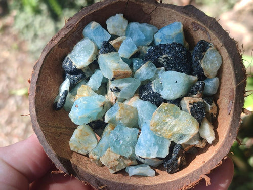 Natural Rare Aquamarine in Black Tourmaline Specimens x 1,4 kg Lot From Karibib, Namibia