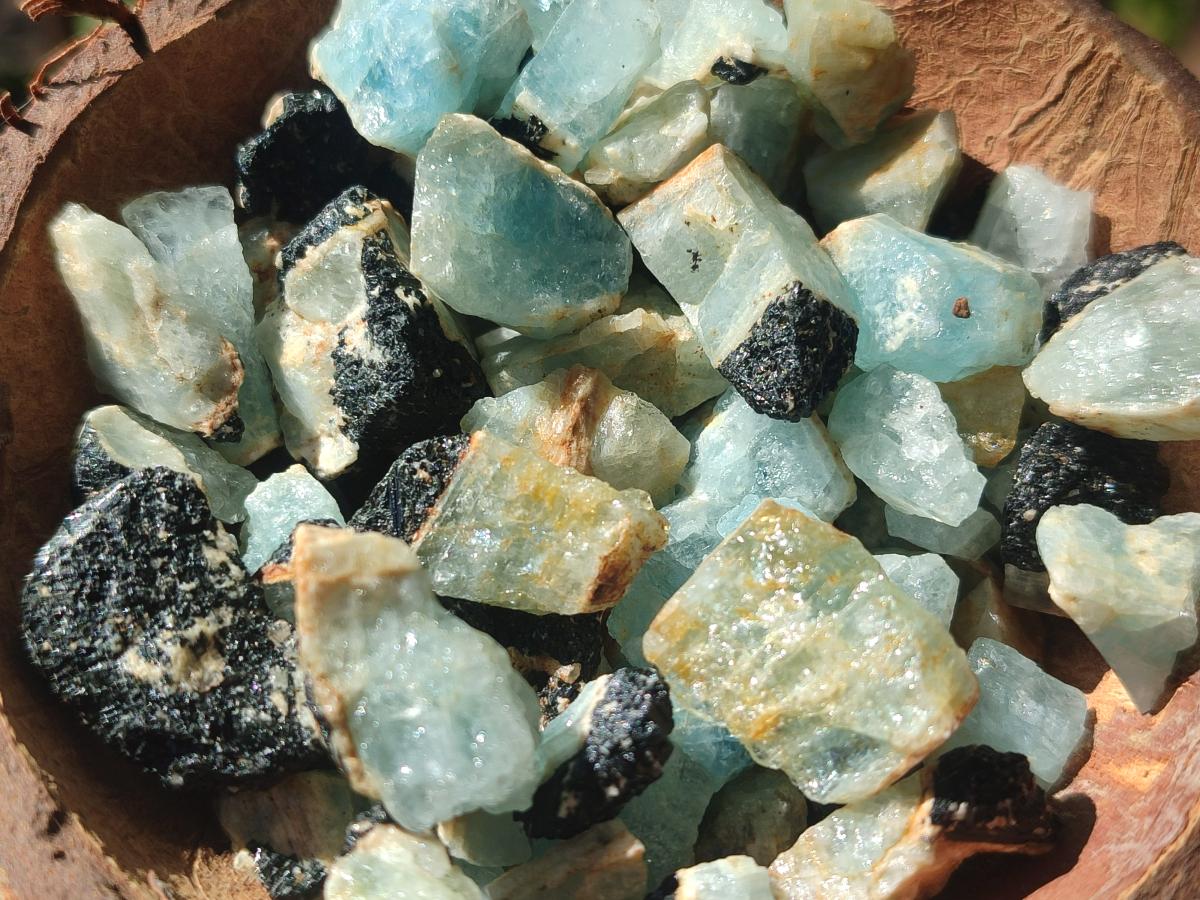 Natural Rare Aquamarine in Black Tourmaline Specimens x 1,4 kg Lot From Karibib, Namibia