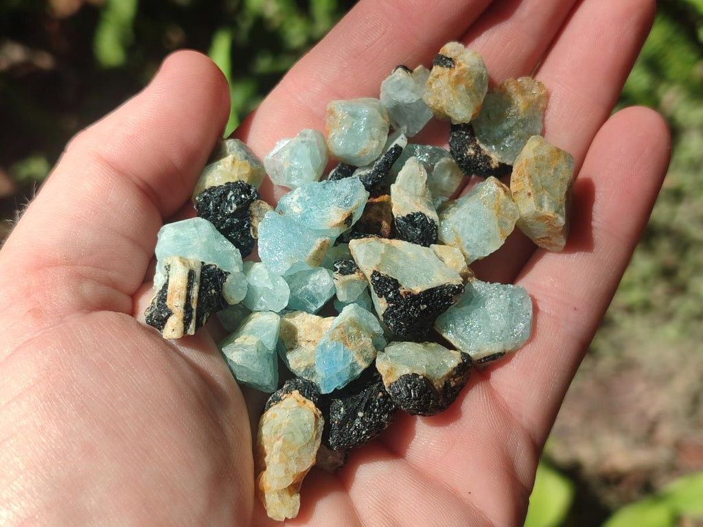 Natural Rare Aquamarine in Black Tourmaline Specimens x 1,4 kg Lot From Karibib, Namibia