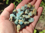 Natural Rare Aquamarine in Black Tourmaline Specimens x 1,4 kg Lot From Karibib, Namibia
