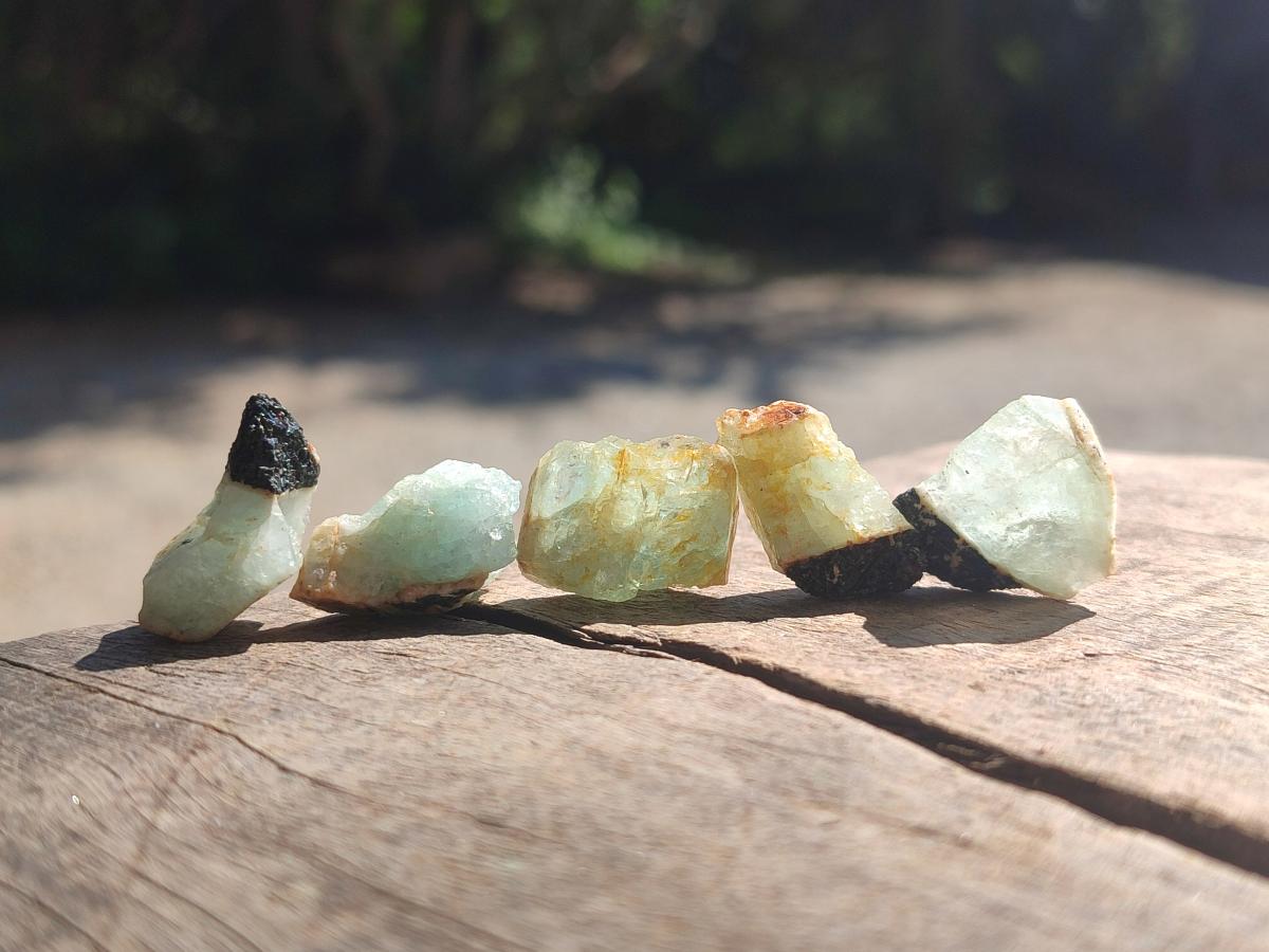 Natural Rare Aquamarine in Black Tourmaline Specimens x 1,4 kg Lot From Karibib, Namibia