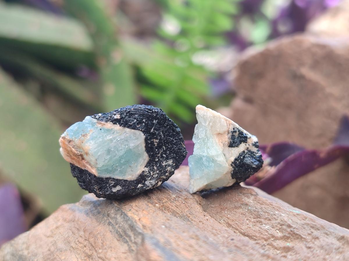 Natural Rare Aquamarine in Black Tourmaline Specimens x 1,4 kg Lot From Karibib, Namibia
