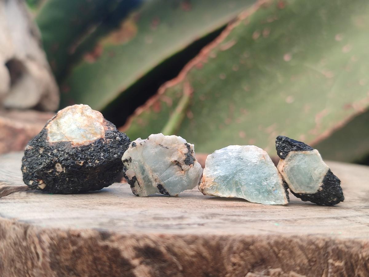 Natural Rare Aquamarine in Black Tourmaline Specimens x 1,4 kg Lot From Karibib, Namibia