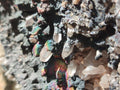 Natural Large Goethite Coated Blacknite Quartz Cluster x 1 From Madagascar