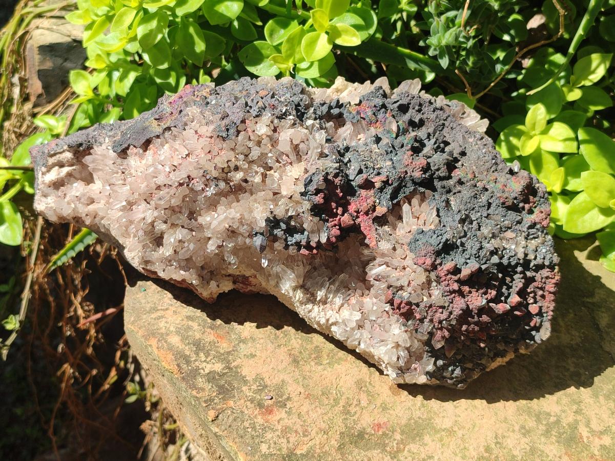 Natural Large Goethite Coated Blacknite Quartz Cluster x 1 From Madagascar