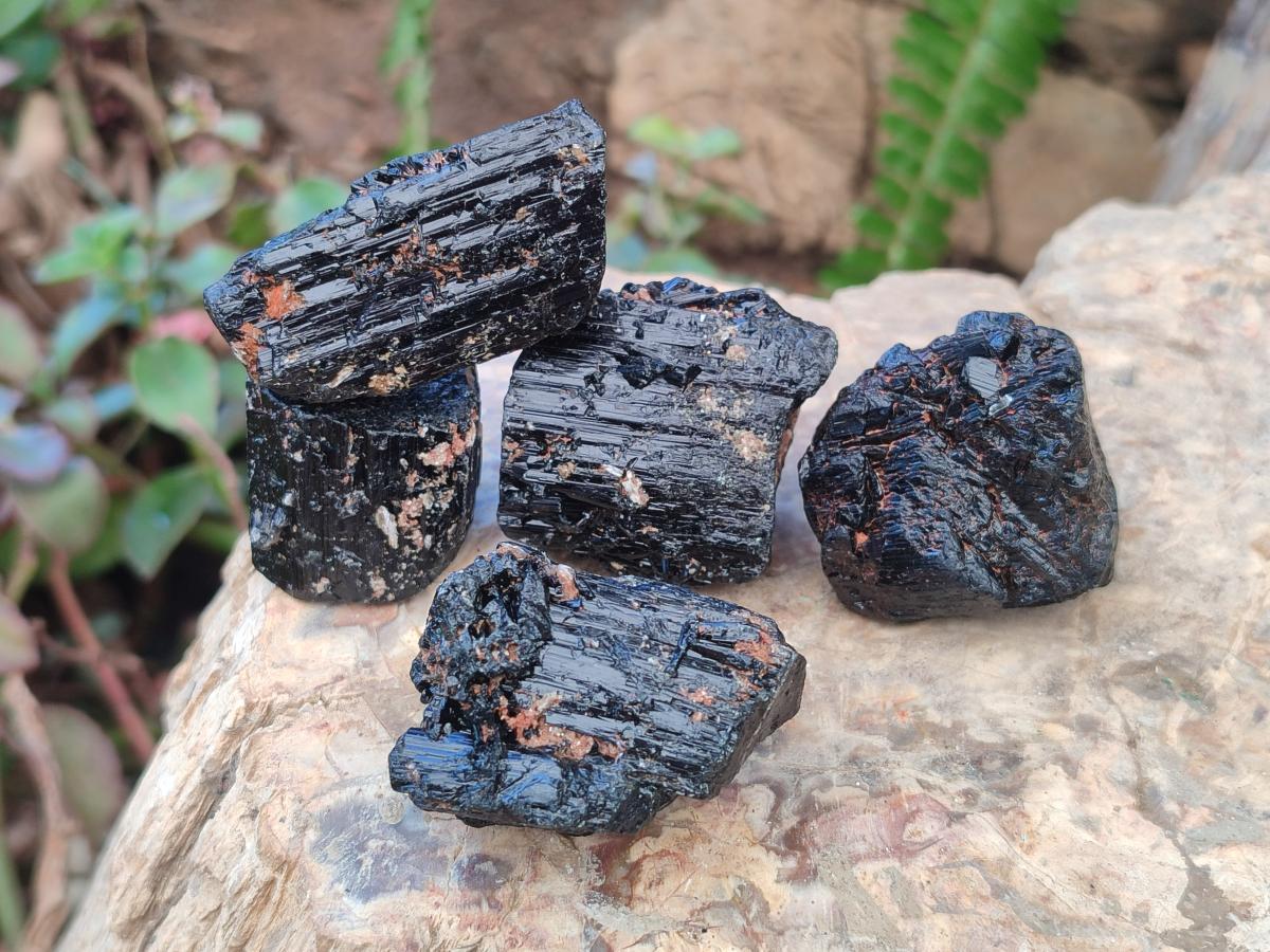 Natural Rough Black Tourmaline Crystals x 35 From Zambia