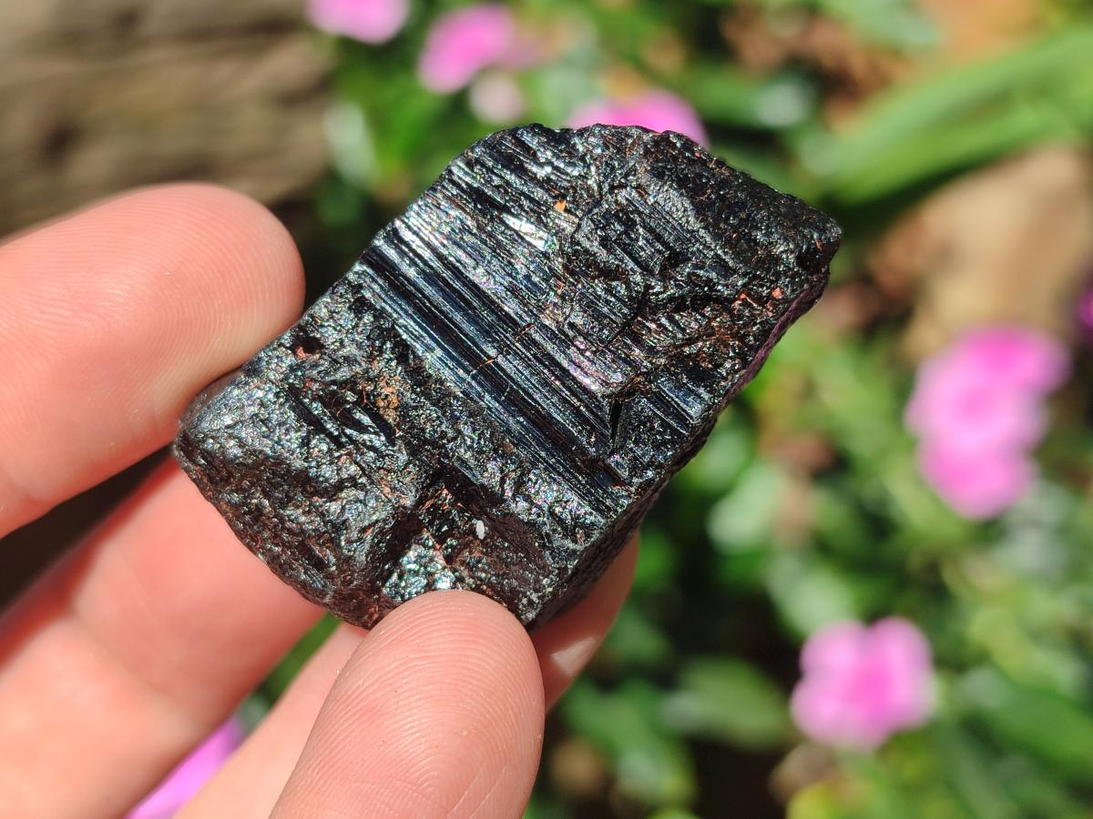 Natural Rough Black Tourmaline Crystals x 35 From Zambia