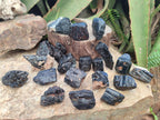 Natural Rough Black Tourmaline Crystals x 35 From Zambia