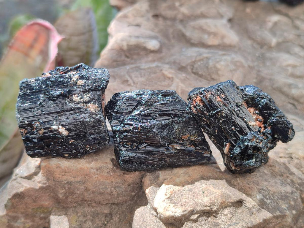 Natural Rough Black Tourmaline Crystals x 35 From Zambia