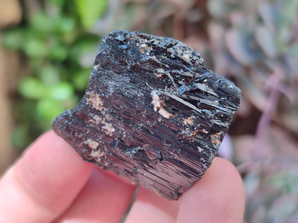 Natural Rough Black Tourmaline Crystals x 35 From Zambia