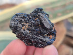 Natural Rough Black Tourmaline Crystals x 35 From Zambia