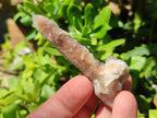 Natural Drusy Fairy Spirit Quartz Crystals x 70 From Boekenhouthoek, South Africa
